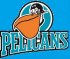 Pelicans-Trophy Tournament
