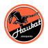 Haukat U8 Kevätturnaus