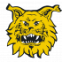Ilves U14 syysturnaus