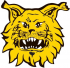 Ilves U11 Asfalttikallio-turnaus