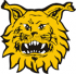 Ilves U14 Loppiaisturnaus 2026