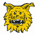Ilves Tampere B