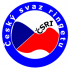 Czech Ringette B