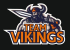 Team Vikings
